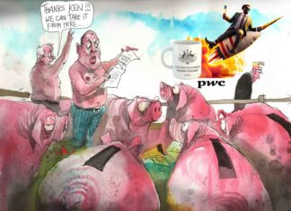 State capture: Tax avoidance on a mega scale