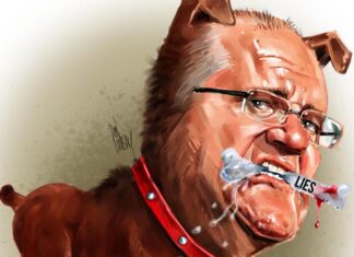John Hewson asserts that Scott Morrison should resign