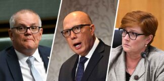 The ‘dole-bludger’ myth can die now — the real cheats were highly paid public servants