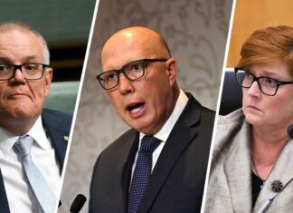 The ‘dole-bludger’ myth can die now — the real cheats were highly paid public servants