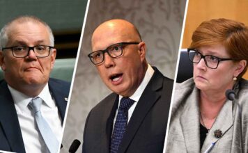 The ‘dole-bludger’ myth can die now — the real cheats were highly paid public servants