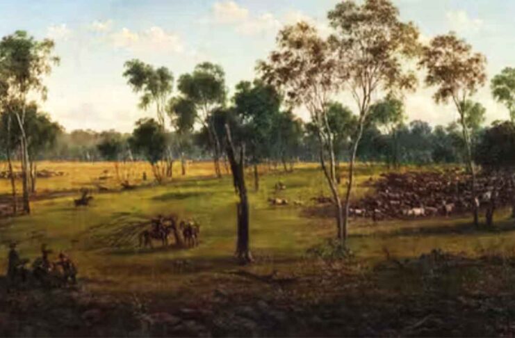 Colonists upended Aboriginal farming, growing grain and running sheep on rich yamfields, and cattle on arid grainlands