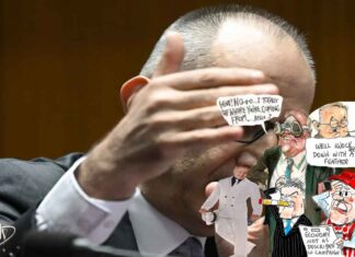 The Mike Pezzullo scandal has damaged Australia