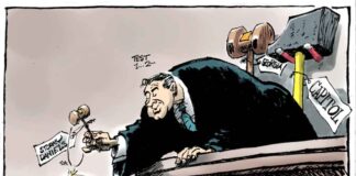 Trumps little piggies are coming home to roost