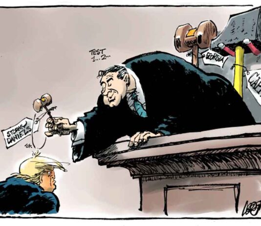 Trumps little piggies are coming home to roost