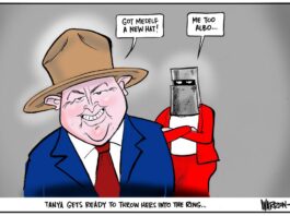 Why is it a battle to get information from the Albanese government?