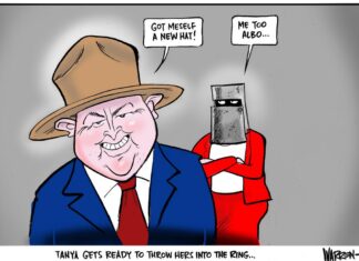 Why is it a battle to get information from the Albanese government?