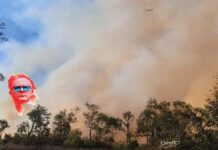 Albo’s Secret Hose: bureaucrats block bushfire info as Australia braces for a deadly summer
