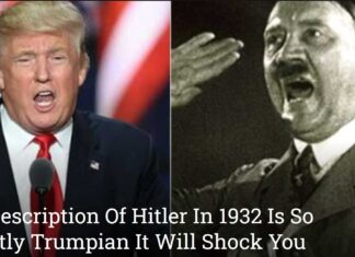 Trump 2024: Autocracy