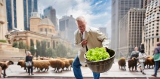 🐑🥬 **Albo the Magnificent: Style Over Substance or Genuine Engagement?**