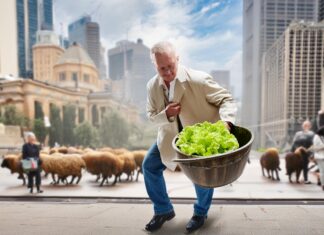 🐑🥬 **Albo the Magnificent: Style Over Substance or Genuine Engagement?**