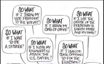 Donald Trump: The Businessman Who Bent Democracy to His Will (and We Let Him)