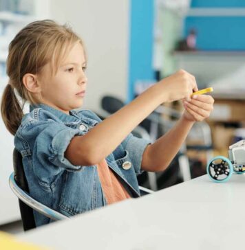 GeniusDesk OS Foundation Cohorts